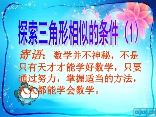 探索三角形相似的条件1(公开课)(11)