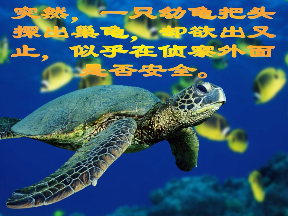 《自然之道》课件(2)_第3页