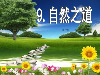 《自然之道》课件(2)