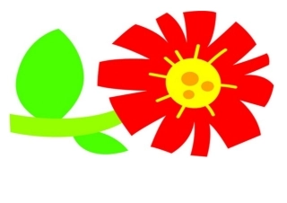 各种各样花的图片