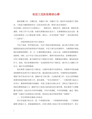 社区三支队伍培训心得 
