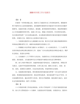 村妇联工作计划报告