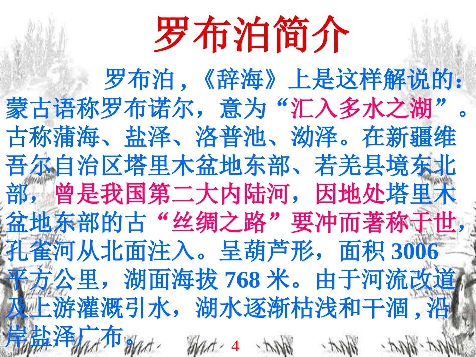 罗布泊_消逝的仙湖课件1_第2页