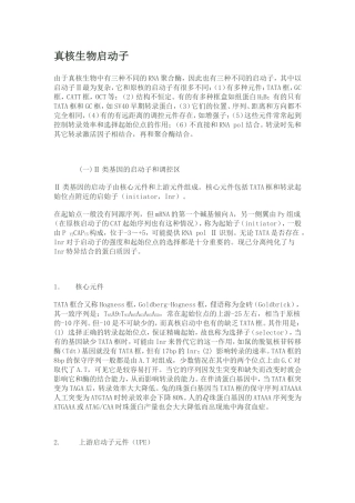 真核生物启动子