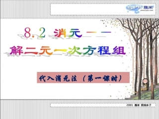 代入消元法解二元一次方程组代入消元法