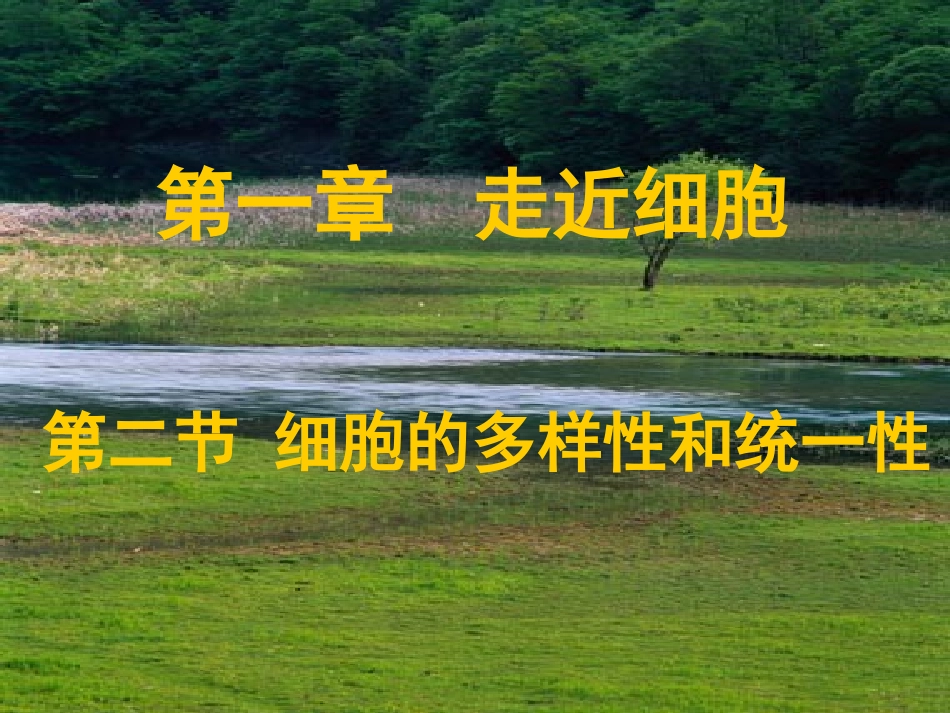 《细胞的多样性和统一性》课件（3）_第1页