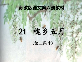 《槐乡五月》课件
