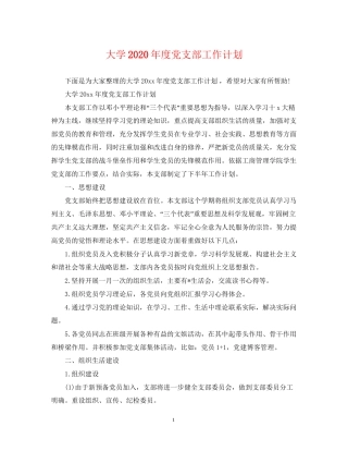 大学年度党支部工作计划