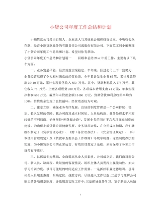 小贷公司年度工作总结和计划
