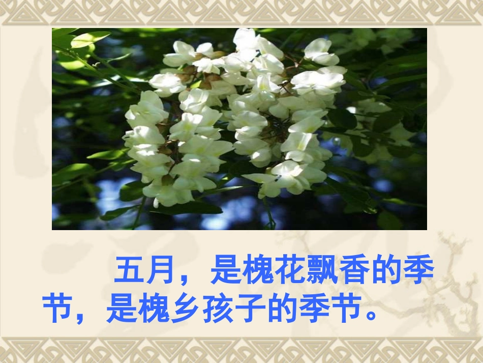 槐乡五月课件_第2页
