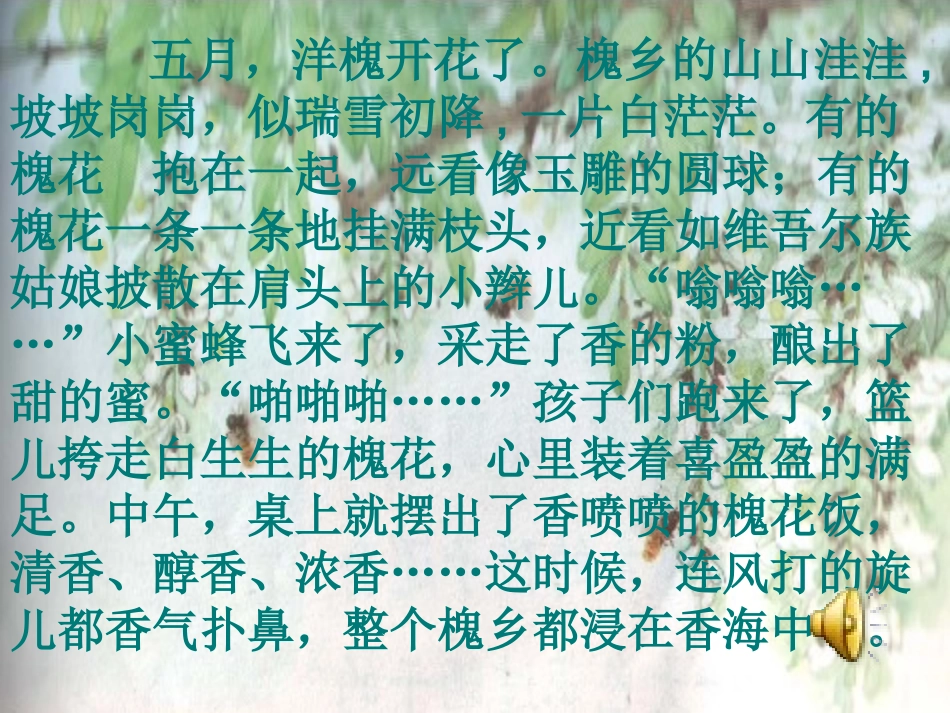 槐乡五月课件_第3页
