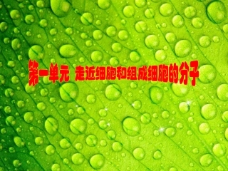 新人教版必修2（分子与细胞）第一单元第2讲细胞中的元素和化合物