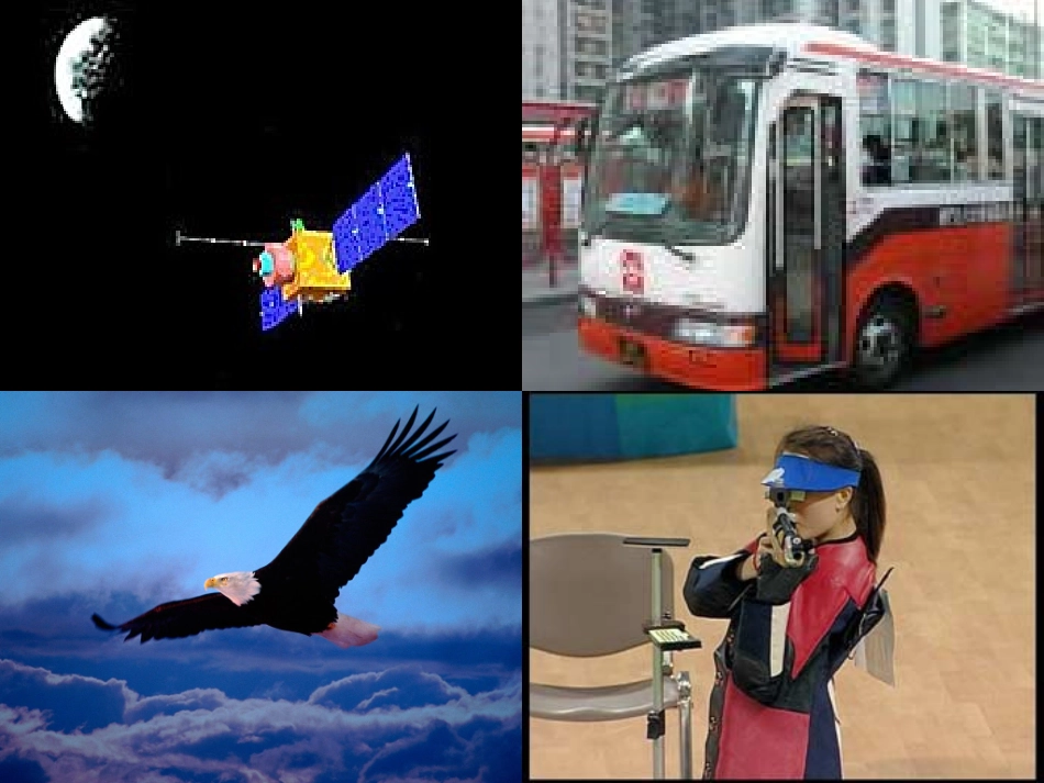 北师大版数学六年级上册《观察的范围》课件_第3页