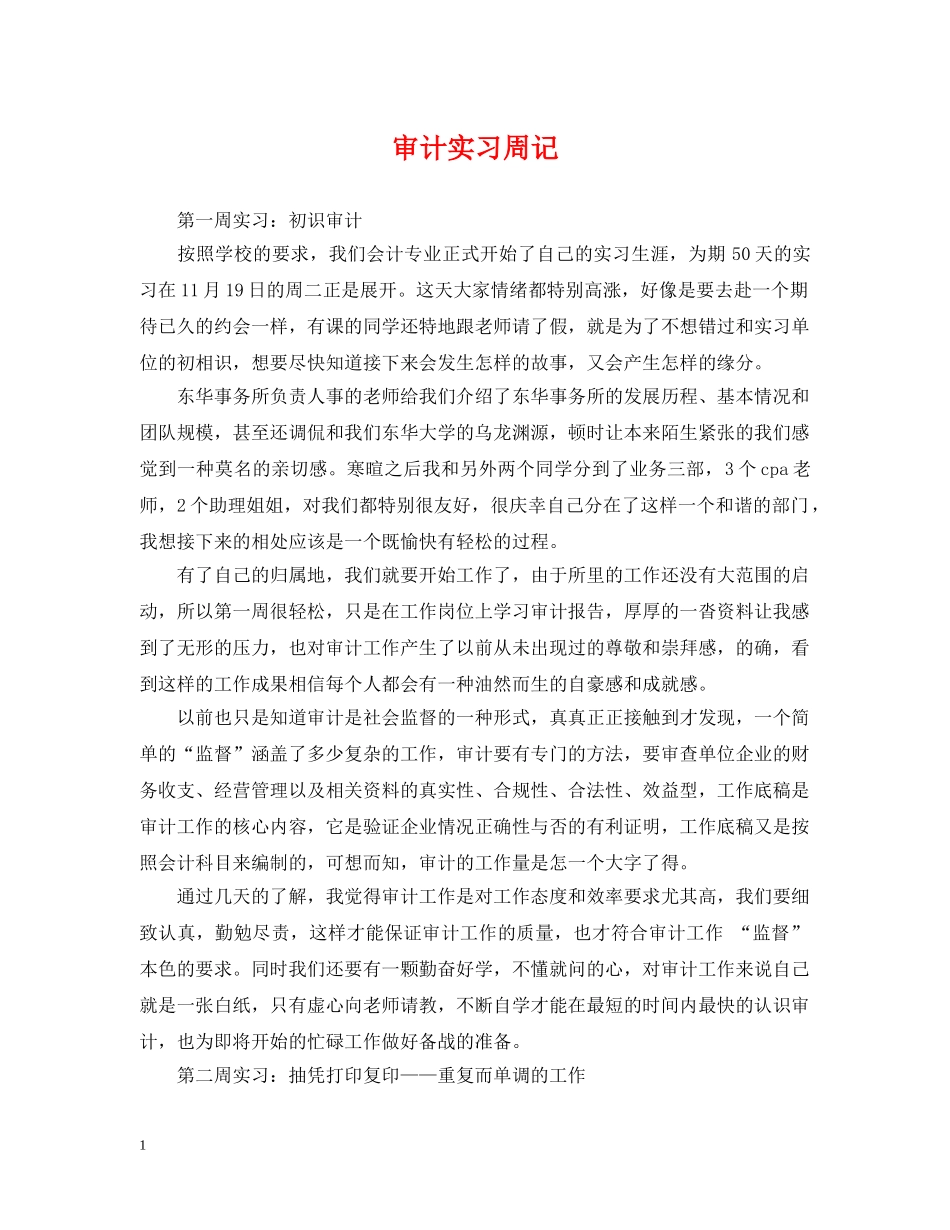审计实习周记 _第1页