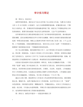 审计实习周记 