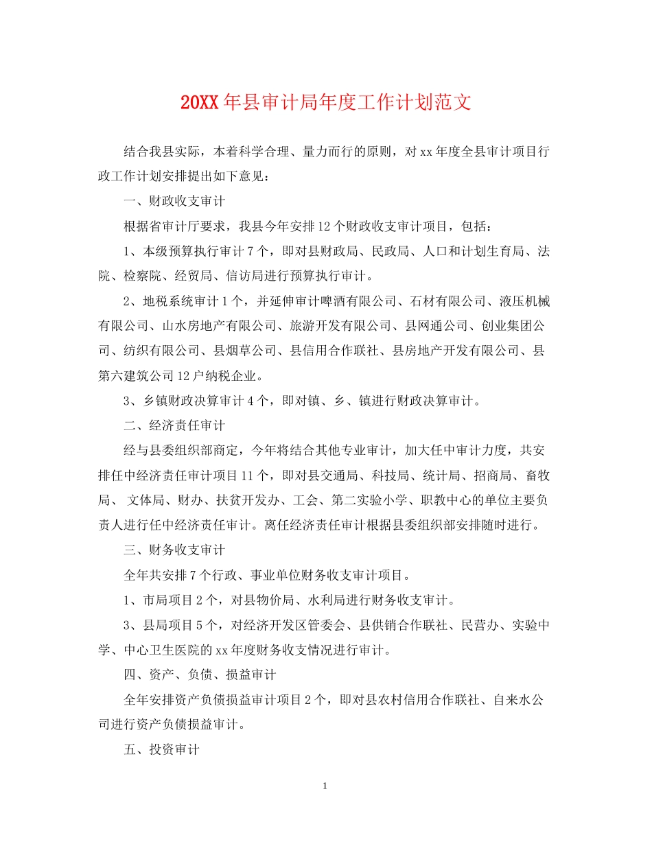 县审计局年度工作计划范文_第1页