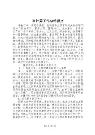 审计局工作总结范文 