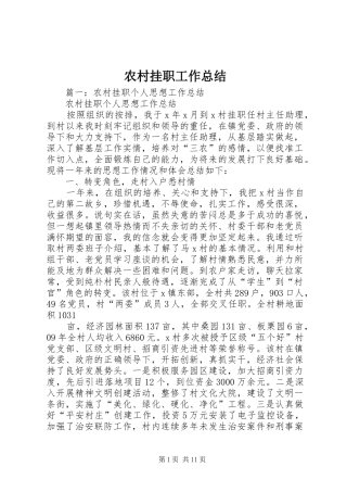 农村挂职工作总结 