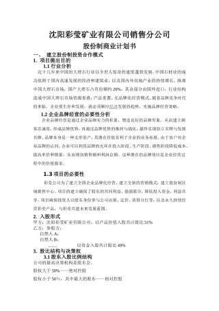 股份制商业计划书