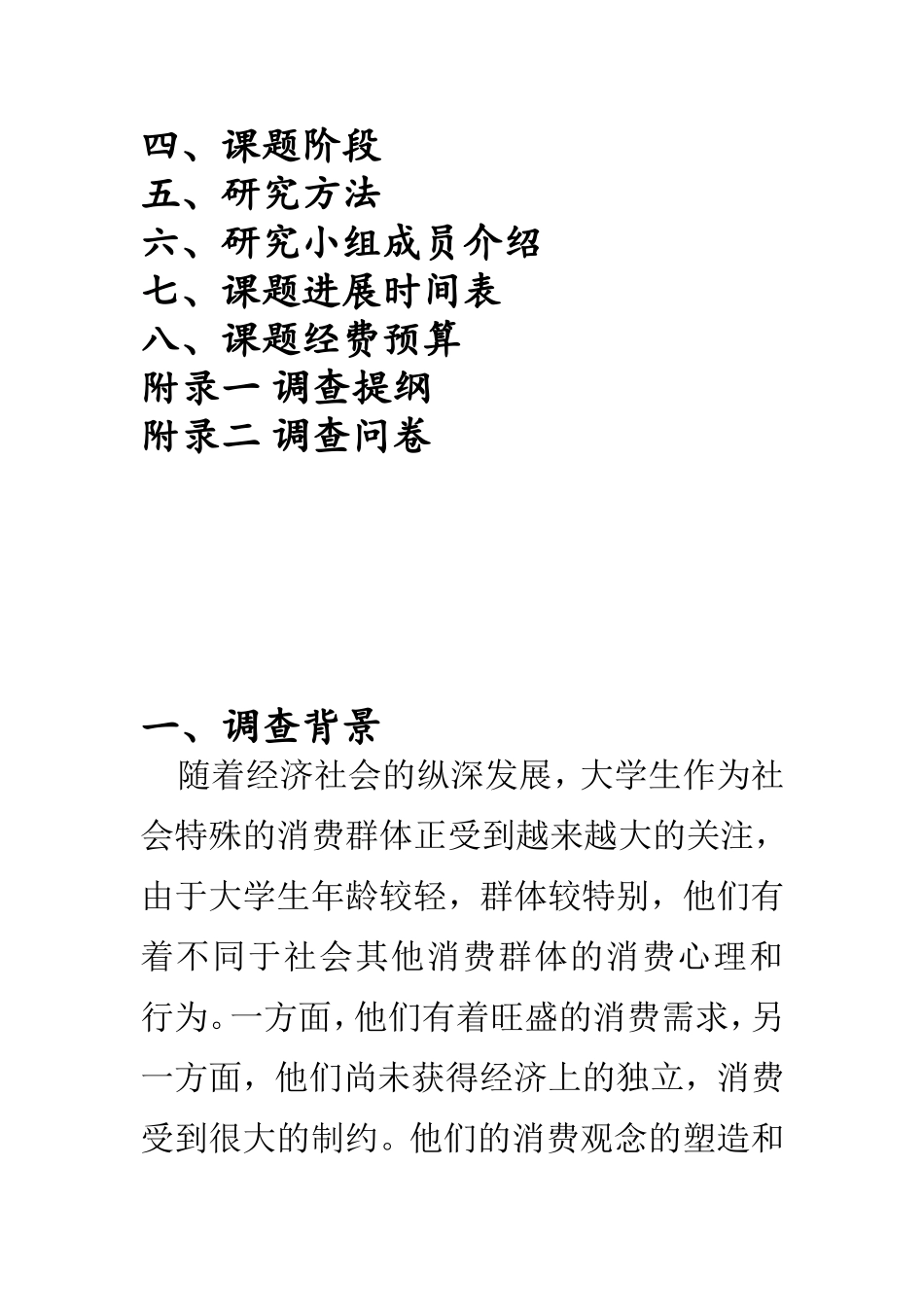 大学生服装市场调查计划书_第2页