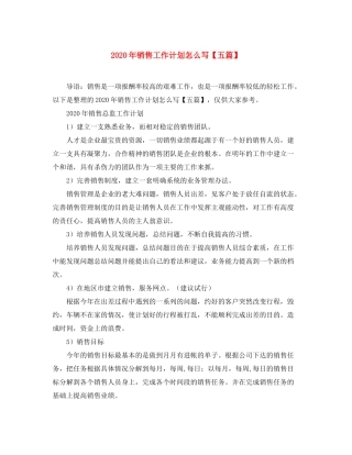 2020年销售工作计划怎么写【五篇】