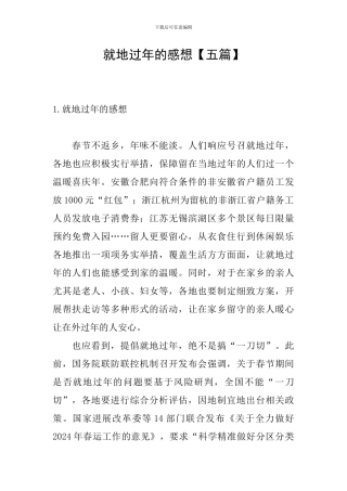 就地过年的感想