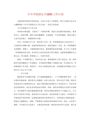 中专学校团支书工作计划