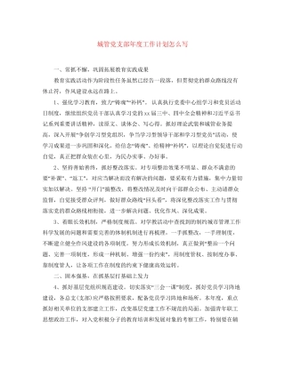 城管党支部年度工作计划怎么写