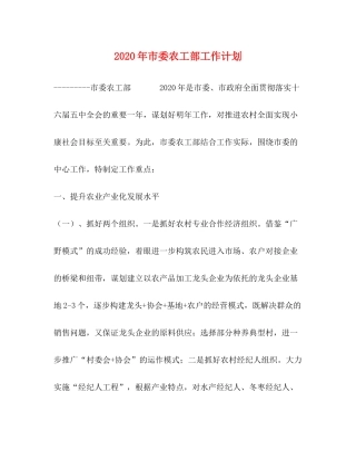2020年市委农工部工作计划