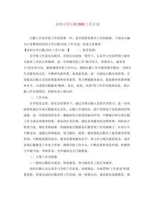 农村小学后勤工作计划