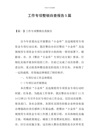 工作专项整顿自查报告5篇
