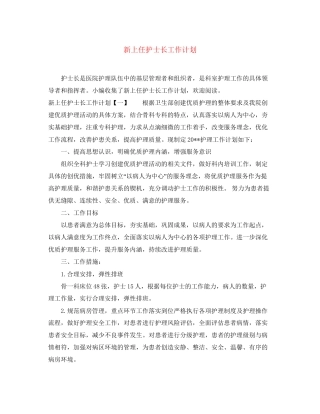新上任护士长工作计划
