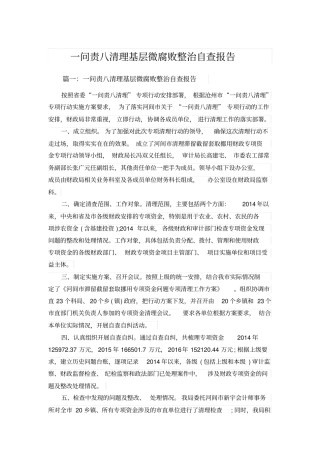 一问责八清理基层微腐败整治自查报告