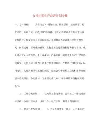 公司年度生产经营计划安排