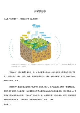 (word完整版)海绵城市