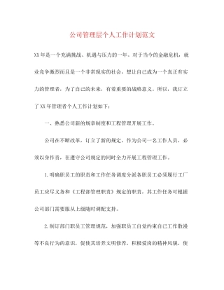 公司管理层个人工作计划范文