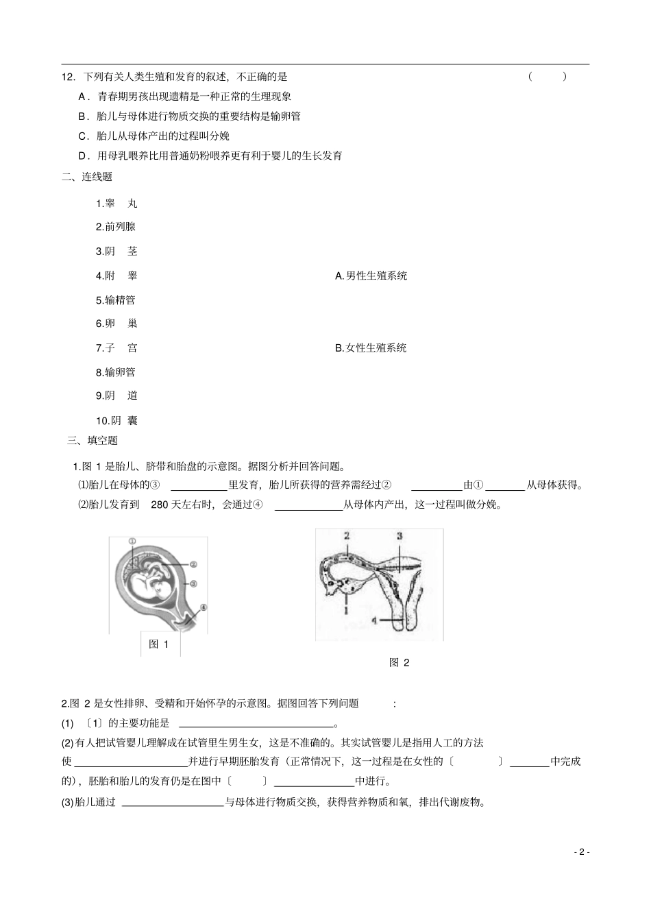 七下生物人的生殖练习题_第2页
