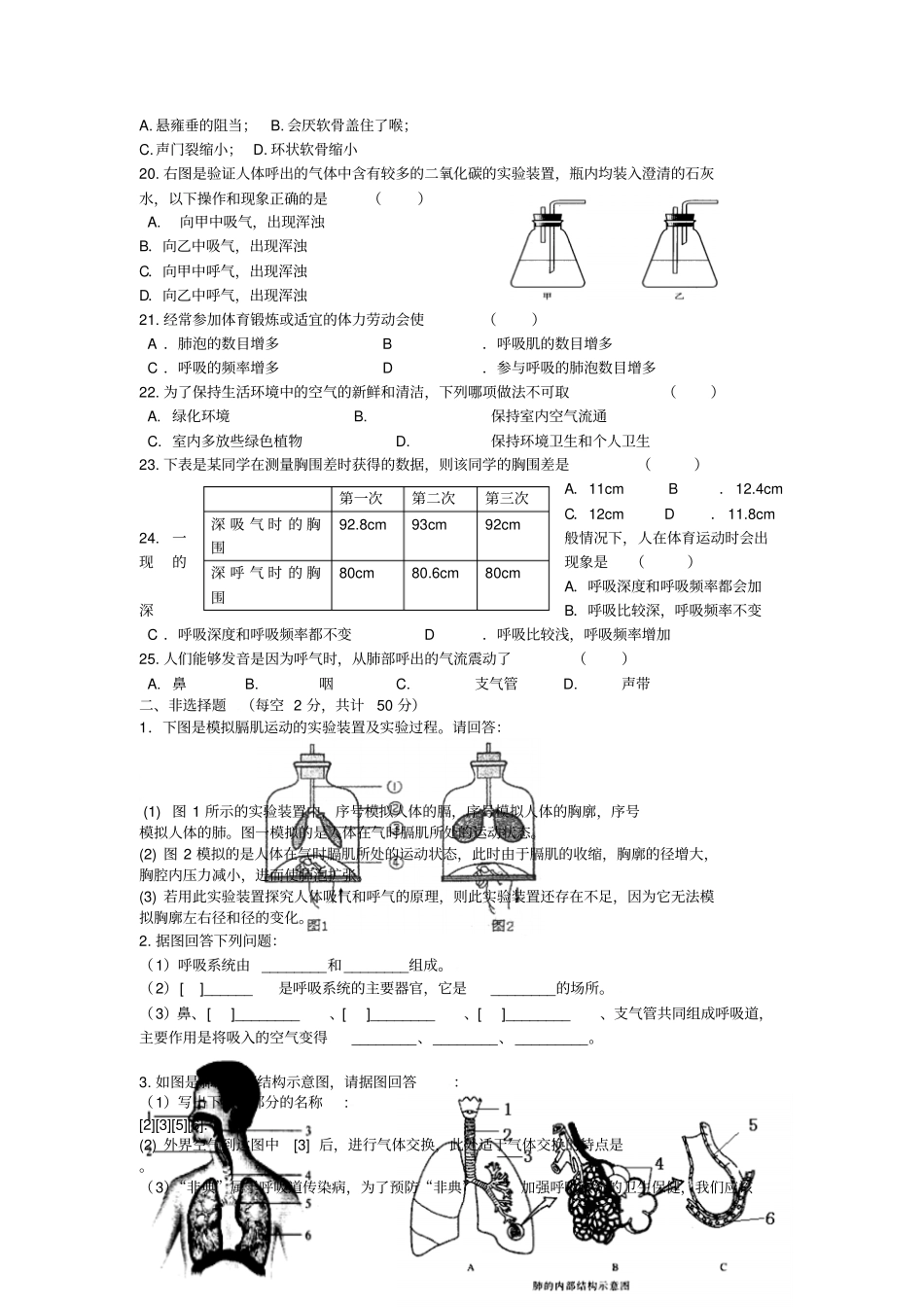 七下生物：人体的呼吸试题已用_第3页