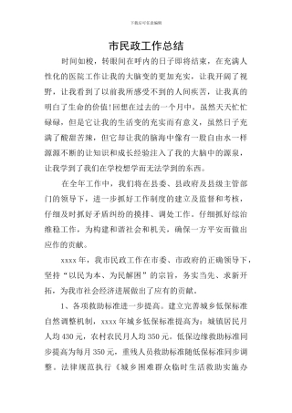 市民政工作总结