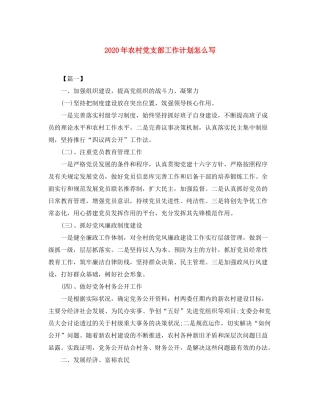 2020年农村党支部工作计划怎么写