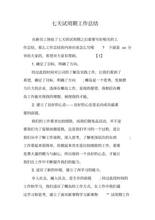 七天试用期工作总结