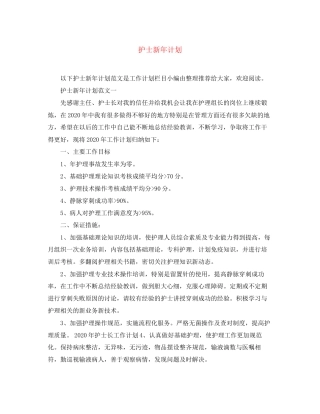 护士新年计划