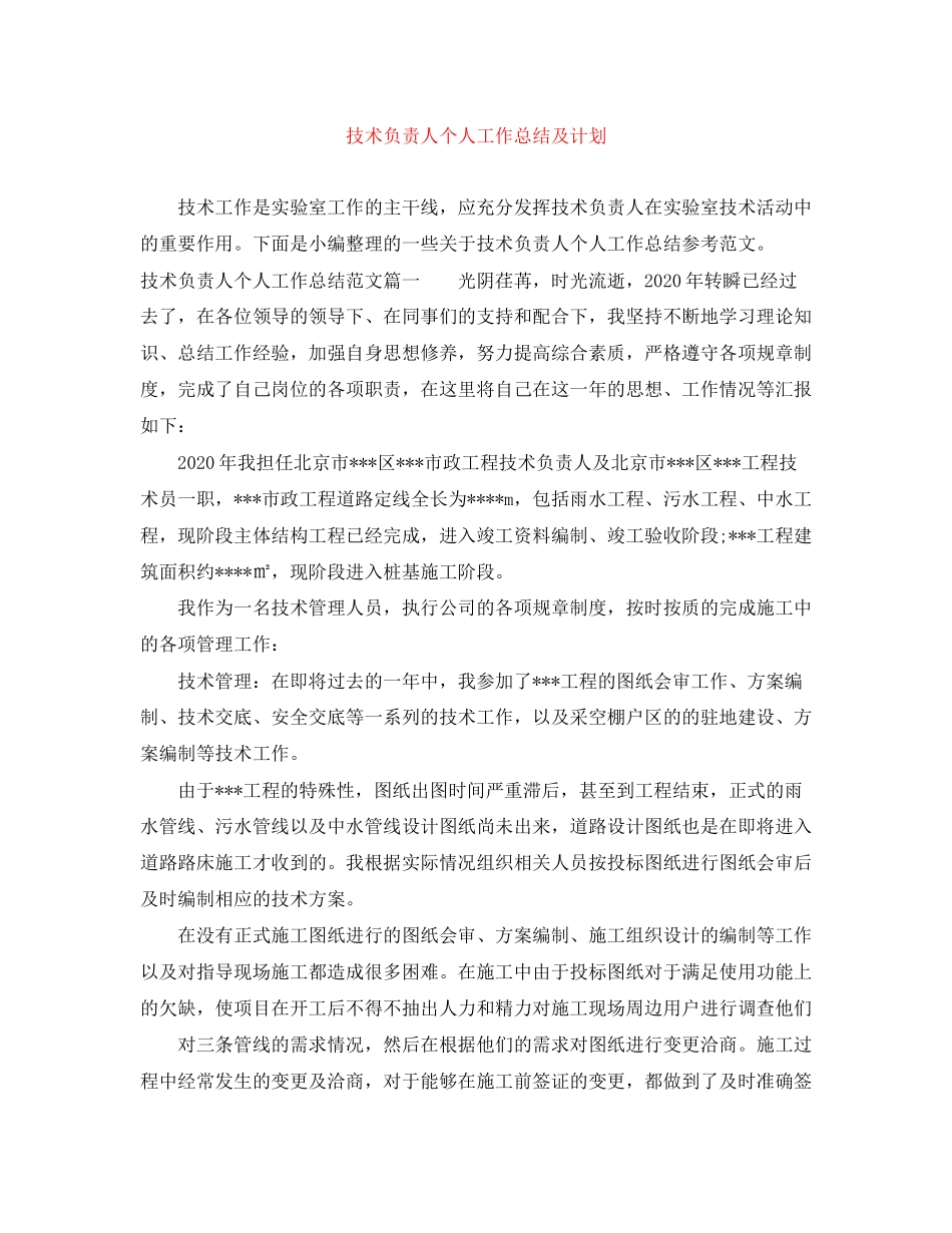 技术负责人个人工作总结及计划_第1页