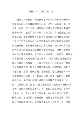 揭秘：女性生殖系统(图)