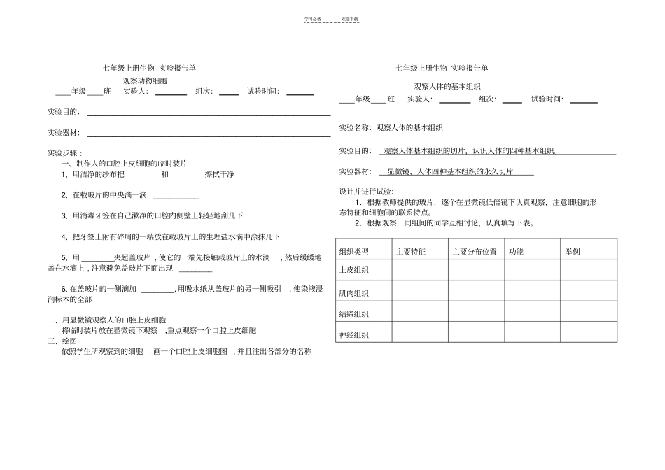 七年级上册生物学试验报告单_第3页