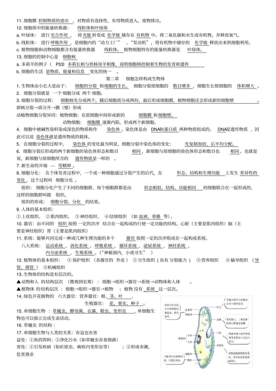 七年级上册生物知识点归纳填空,推荐文档_第3页