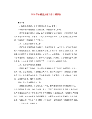 2020年农村党支部工作计划报告