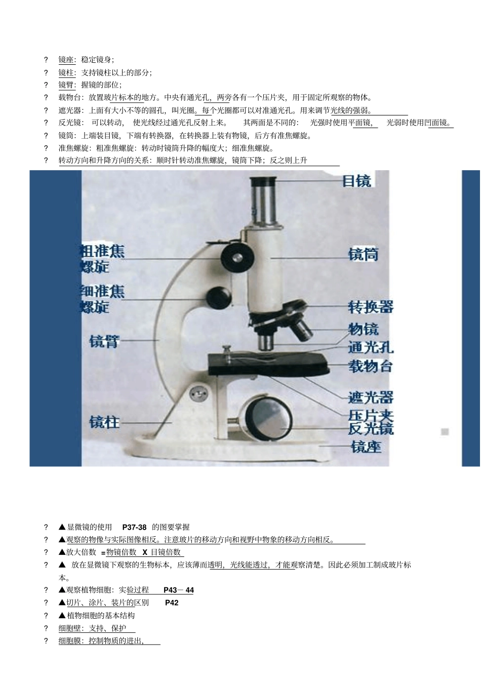 七年级上的生物复习资料汇总_第3页