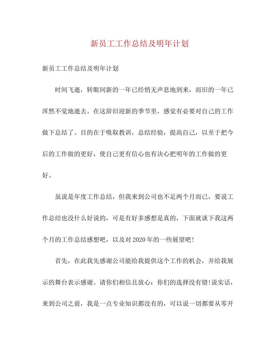 新员工工作总结及明年计划_第1页