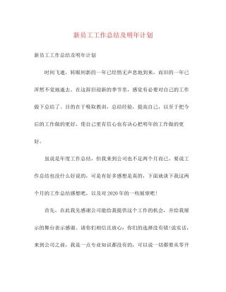 新员工工作总结及明年计划